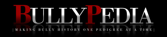 bullypedia-logo